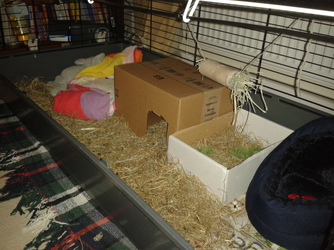 20160308_180833.webp