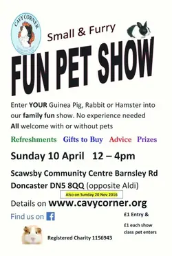 Cavy Corner 19-04-2016.webp