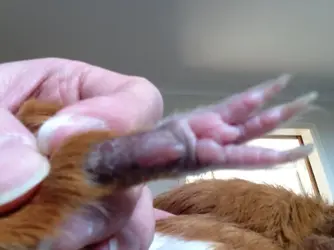 image.webp