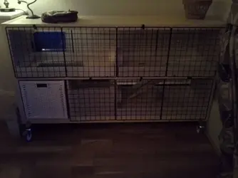 Bookcase Cage The Guinea Pig Forum