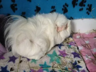 image.webp