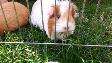 20160504_151439.webp