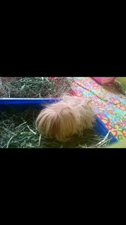 tmp_471-Screenshot_2016-06-12-11-47-22242826733.webp