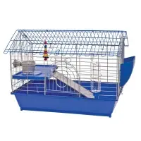 guinea cage.webp