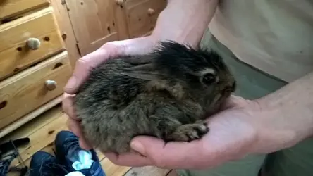 WP_20160718_18_57_43_Pro[1].webp