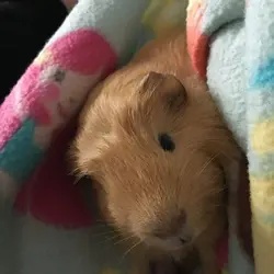 image.webp image.webp
