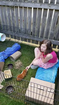 20160911_175855.webp