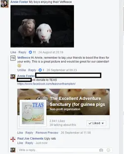 piggies2.webp