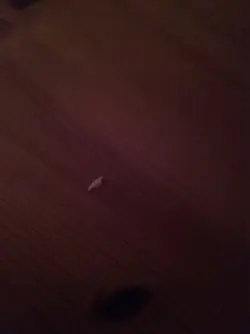20161209_205138.webp