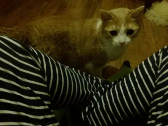 20161225-0017.webp