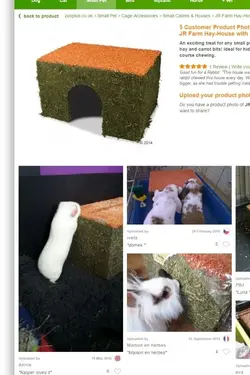 kasper.webp