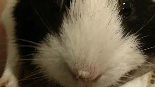 1SP3FcpfLZcilwyosZuMYVkaQh4fRmYUaadT8u67nik.webp