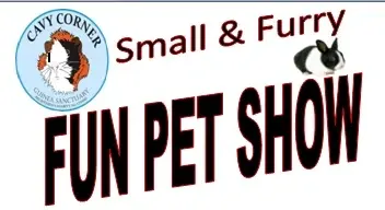 Cavy Corner flier.webp Cavy Corner flier.webp
