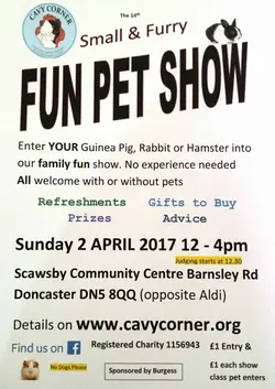 Cavy Corner Fun Day April 2017.webp