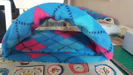 20170207_112501.webp