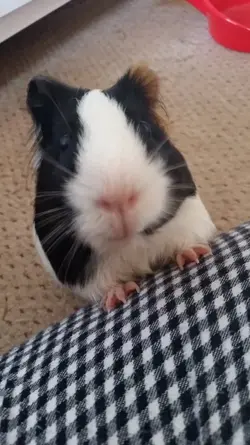 20160601_183606.webp