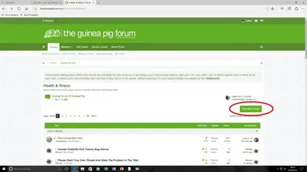 Untitled.webp Untitled.webp