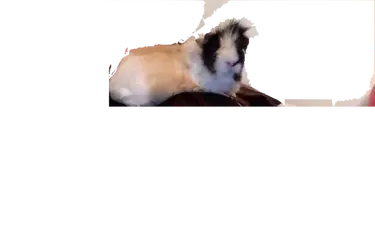 Photo on 3-19-17 at 6.42 PM #2.webp