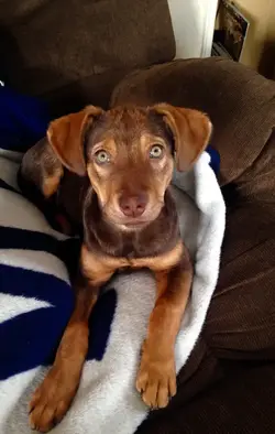 IMG_1813.webp