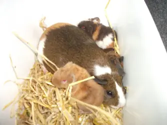 DSCF6536.webp
