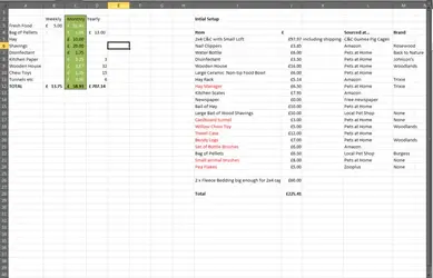 GuineaCost2.webp