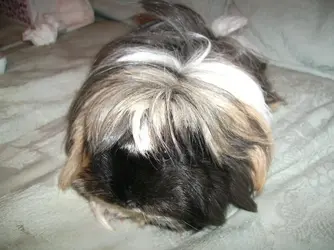 BILD0008.webp