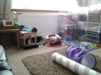 2014-05-24 20.27.41.webp