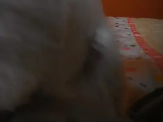 DSCF5541.webp