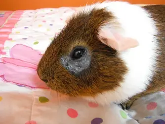 DSCF5539.webp