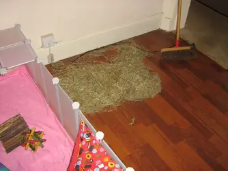 IMG_0357.webp IMG_0357.webp