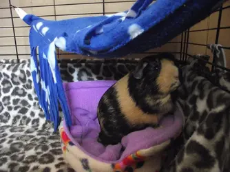 DSCF3228.webp