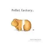 images (2).webp