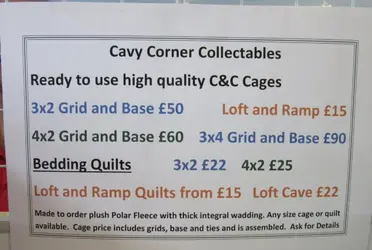 cavy corner C&C.webp cavy corner C&C.webp