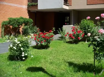 100_9417.webp