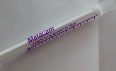 Metacam syringe best sale