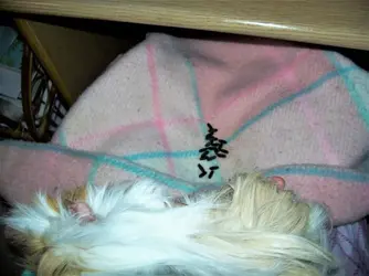 100_6635.webp