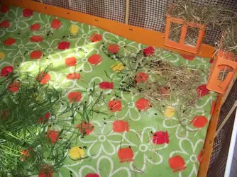 100_6942 (2).webp