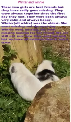 Screenshot_2017-07-14-12-26-23.webp