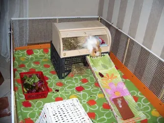 100_6586.webp