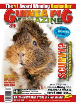 #39 cover.webp #39 cover.webp