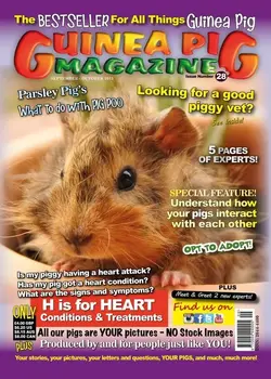 #28 cover.webp
