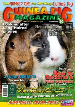 #30 cover.webp
