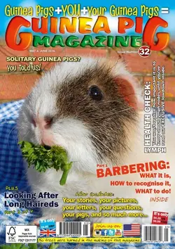 #32 cover.webp #32 cover.webp
