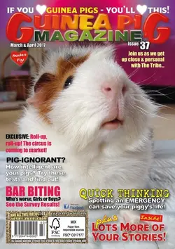 #37 cover.webp