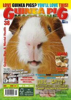 #38 cover.webp #38 cover.webp