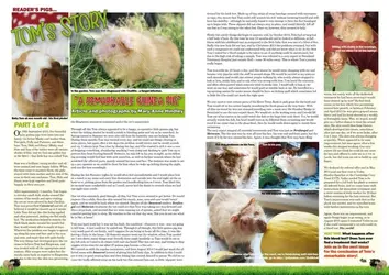 #34 Tom's story.webp