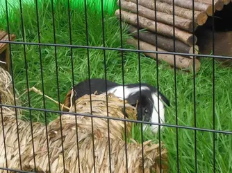 DSCF1428 (2).webp