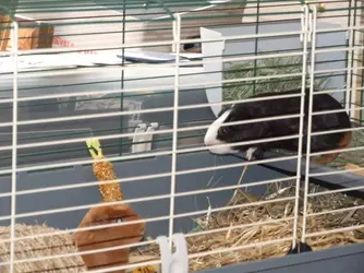 DSCF1283.webp