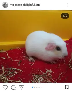 Screenshot_2017-08-08-06-53-02-1.webp