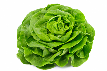 lattuga.webp